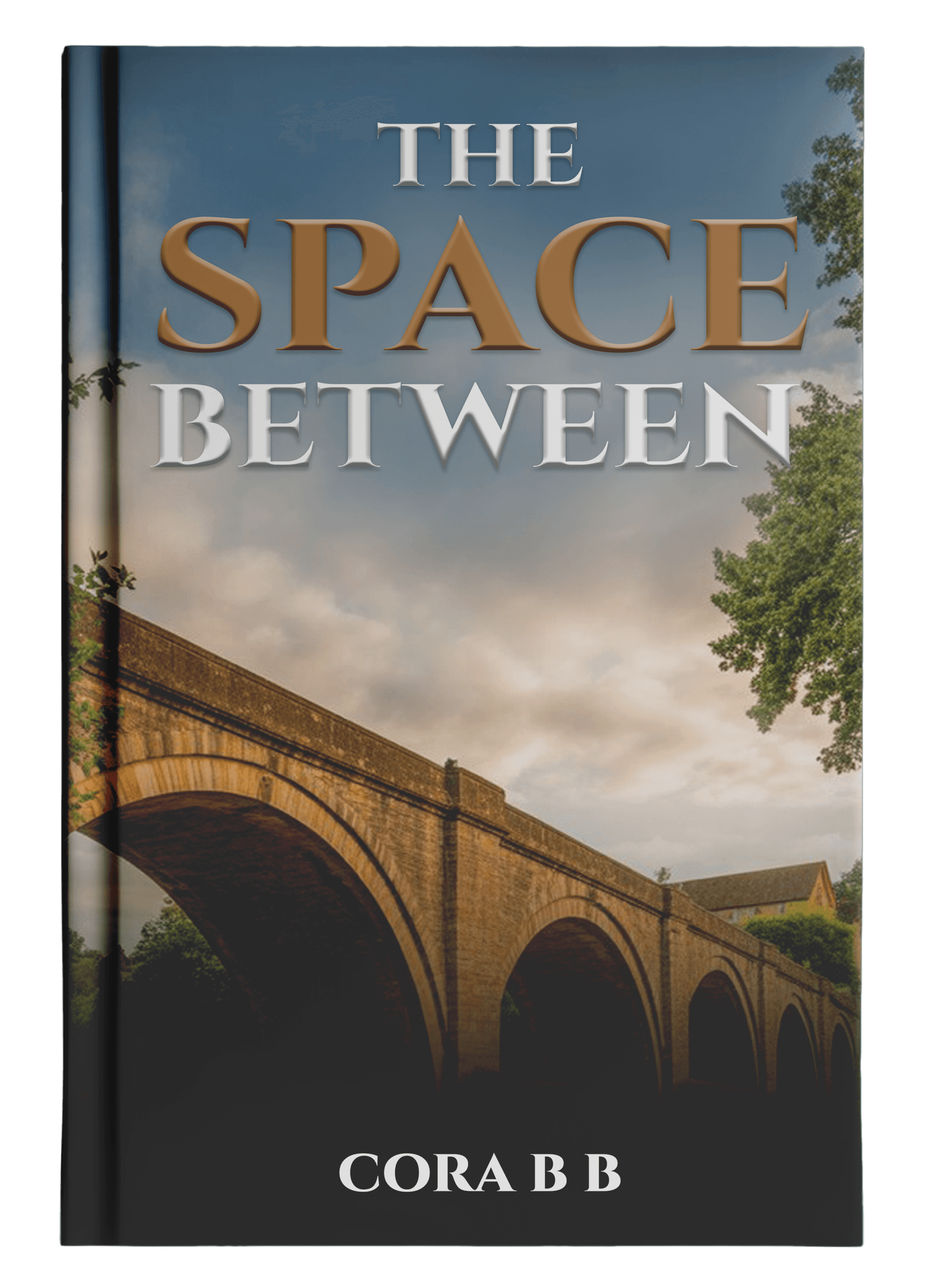Book Prides Publishing portfolio cover 2